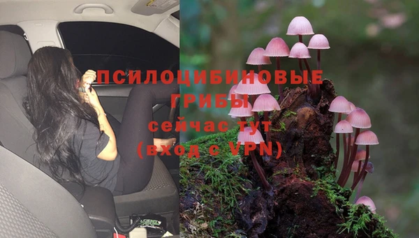 mdma Ладушкин