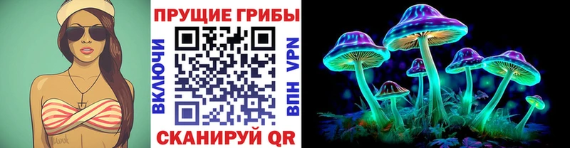 Псилоцибиновые грибы Psilocybe  Тихвин 