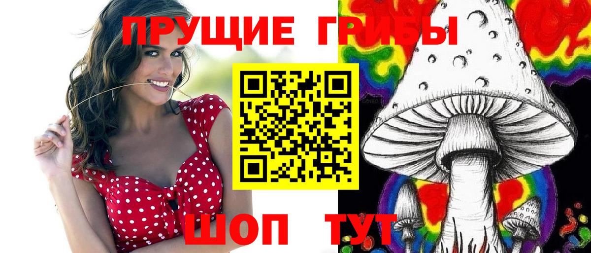 Псилоцибиновые грибы Psilocybine cubensis Тихвин