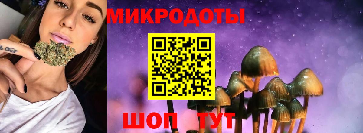 Тихвин  Галлюциногенные грибы Psilocybine cubensis  Псилоцибиновые грибы GOLDEN TEACHER  Вход с VPN 